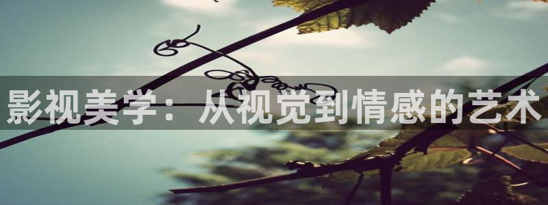 人人爱视频观看